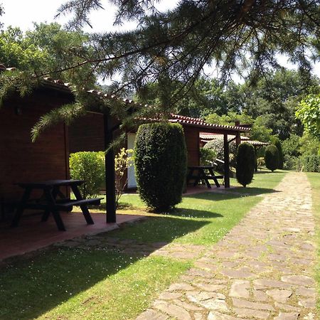 Camping Ecologic Lava Santa Pau Εξωτερικό φωτογραφία