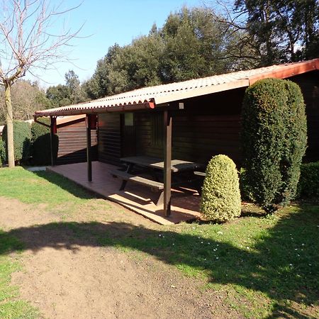 Camping Ecologic Lava Santa Pau Εξωτερικό φωτογραφία